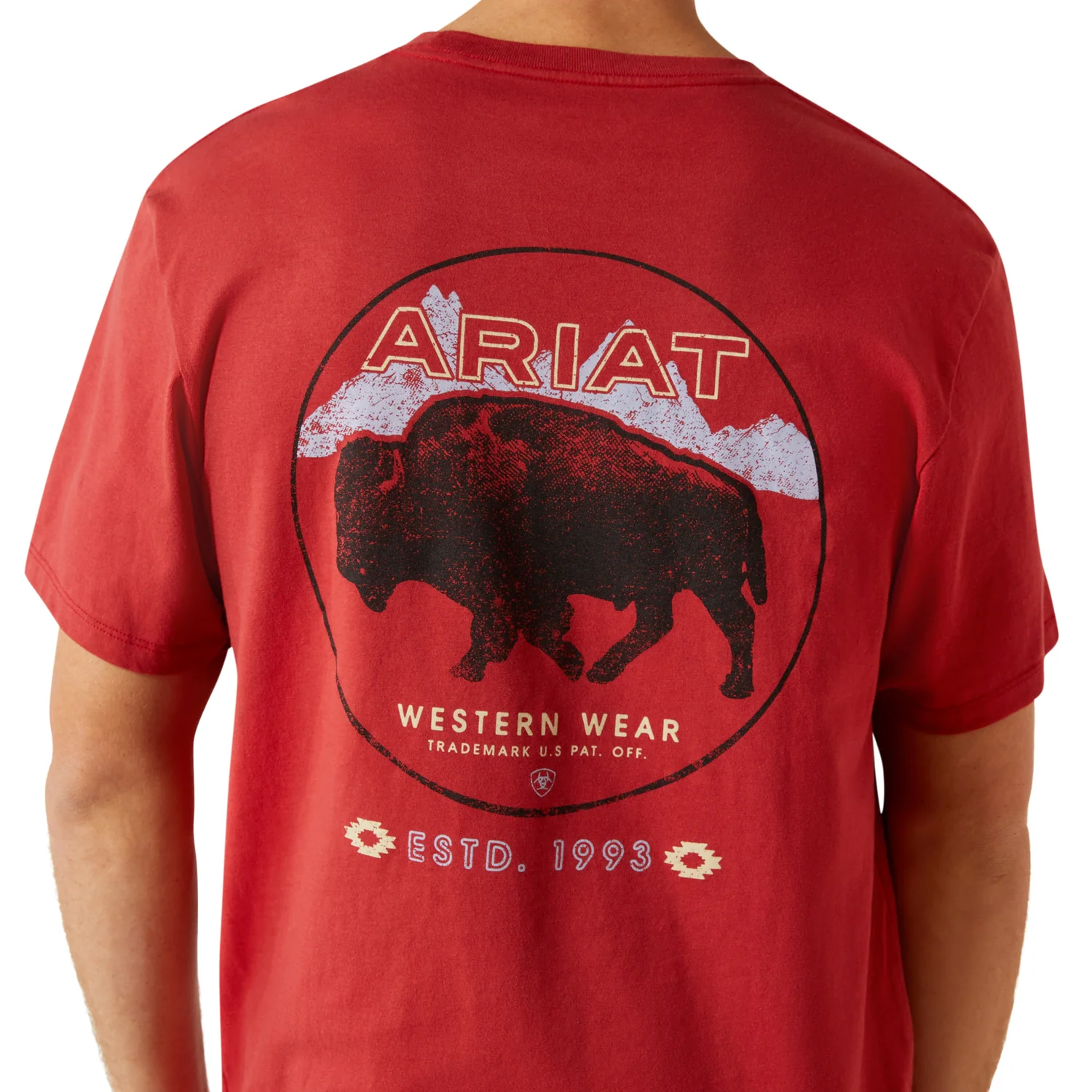 Ariat Men's Patriot Buffalo Coin Tee - Brick Red - Image 3