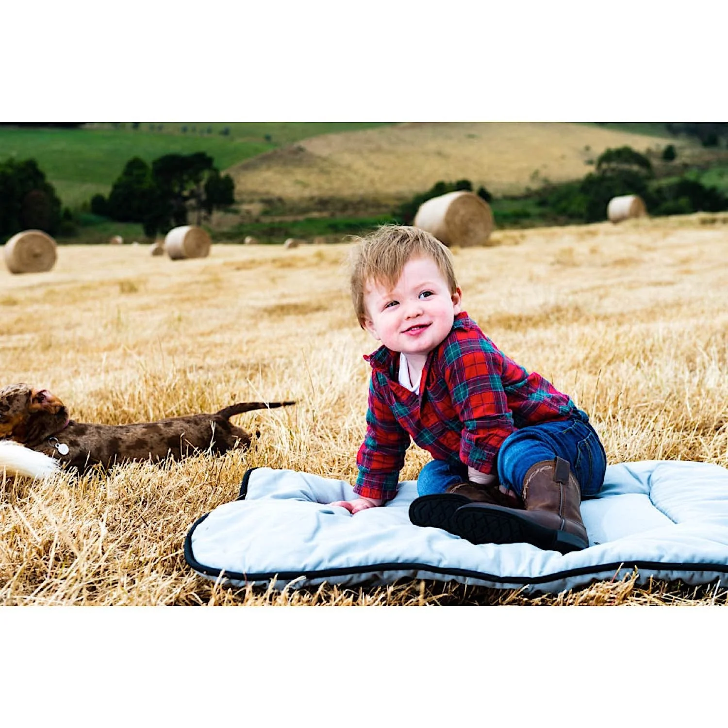Pure Australian Wool Pet Beds - Image 5
