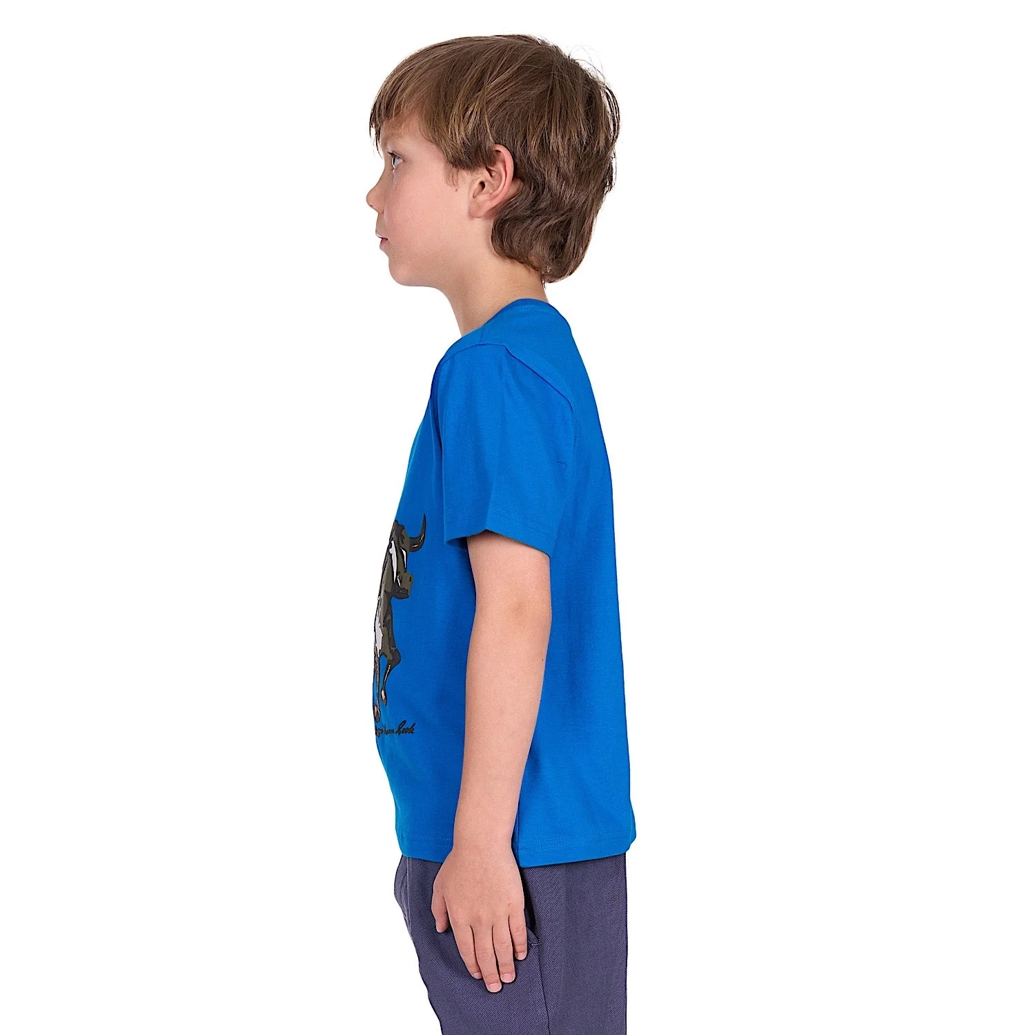 Thomas Cook Boy's Robbie Tee - Royal - Image 2