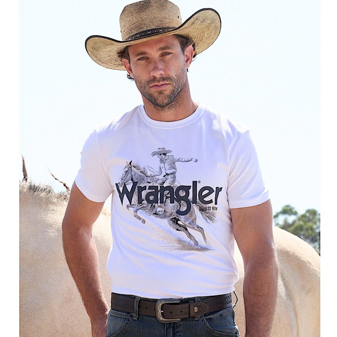 Wrangler Sammy Belt - Dark Tan - Image 3